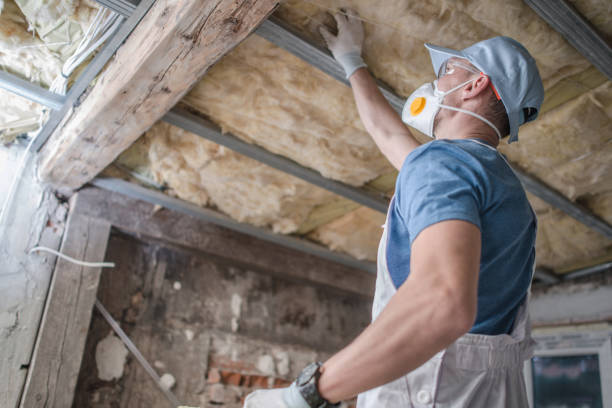 Best Geographic-Specific Insulation Services in Pineville, LA