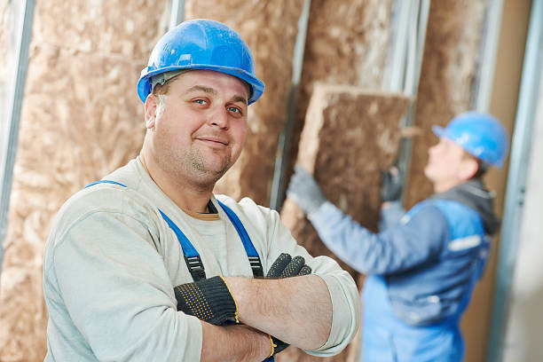 Best Cellulose Insulation in Pineville, LA