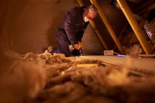 Best Spray Foam Insulation in Pineville, LA